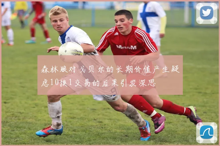 森林狼对戈贝尔的长期价值产生疑虑10换1交易的后果引发深思